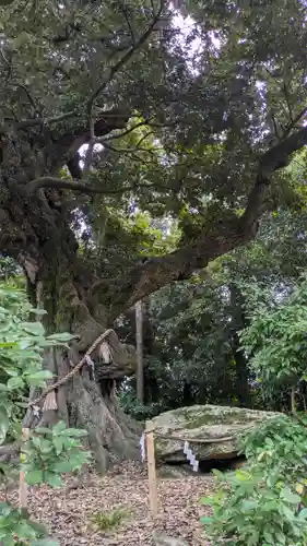 新日吉神宮(京都府)