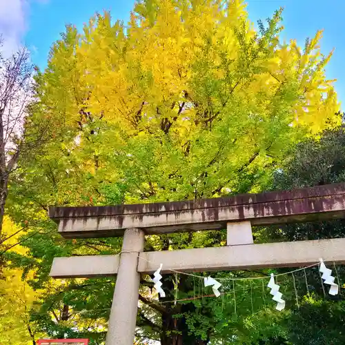 鳩森八幡神社(東京都)