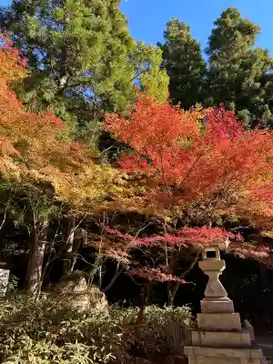 大矢田神社(岐阜県)