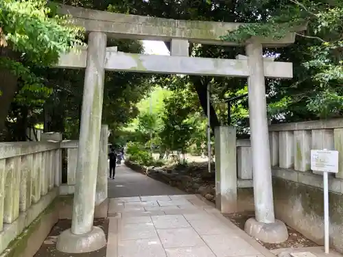 渋谷氷川神社の鳥居