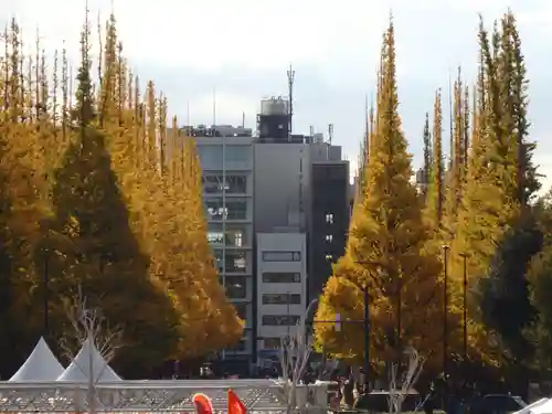 明治神宮(東京都)