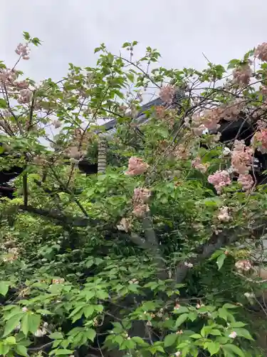 興聖寺(京都府)