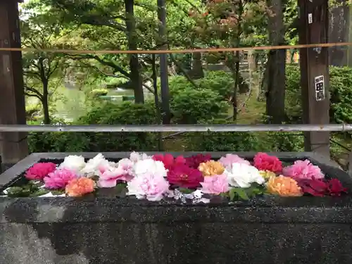 西新井大師総持寺の手水舎