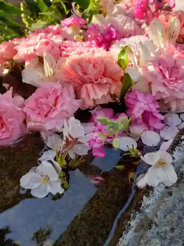 本郷氷川神社(東京都)