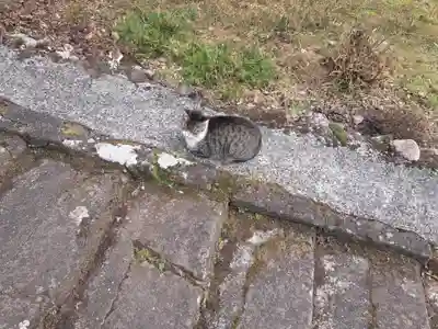 龍岩寺(大分県)
