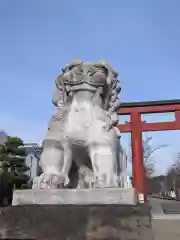 鶴岡八幡宮の狛犬