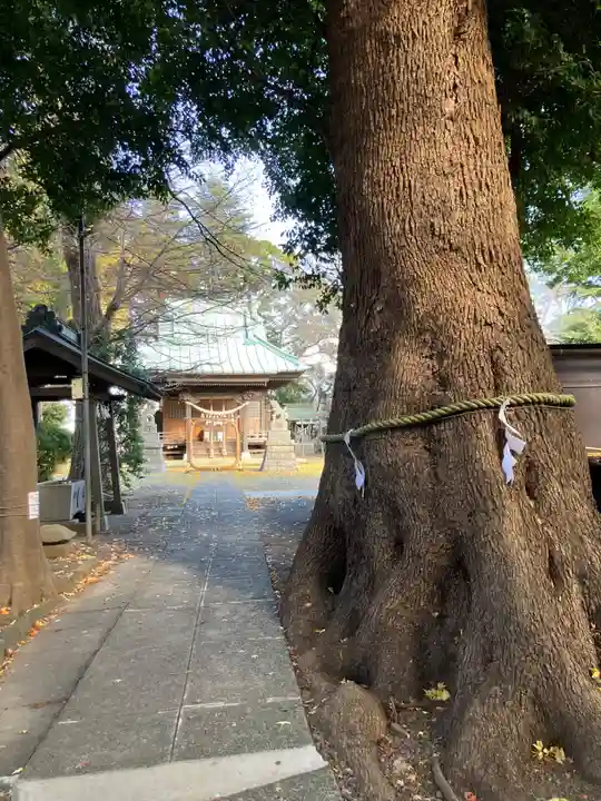 新作八幡宮(神奈川県)