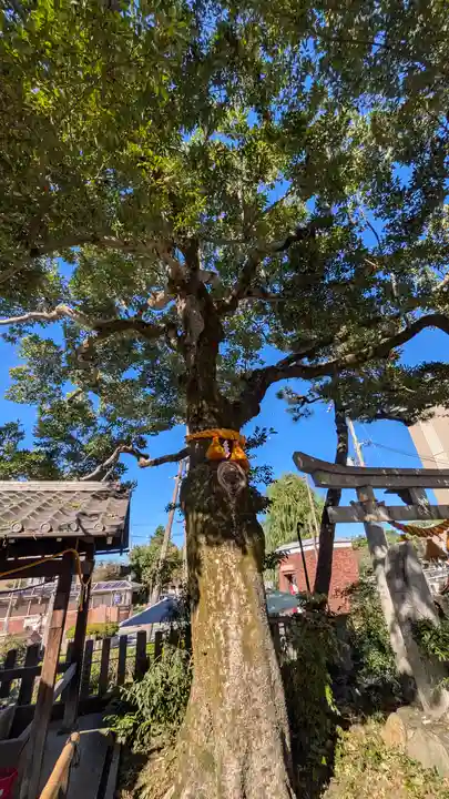 出町妙音堂(京都府)