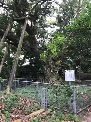 熊野神社の自然
