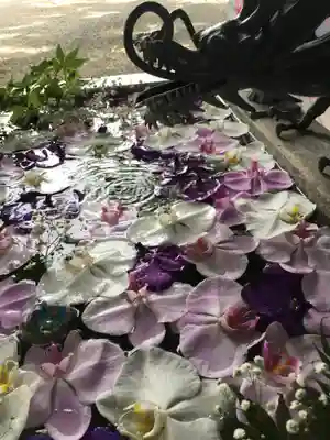 札幌諏訪神社の手水舎