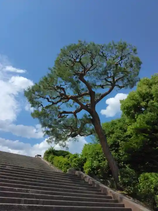 明治天皇伏見桃山陵のその他建物