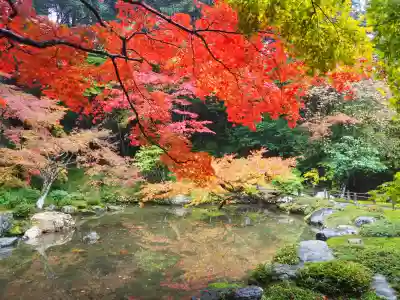 南禅院(京都府)