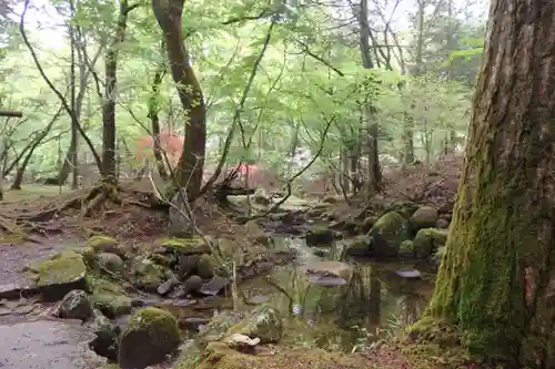 深山巴の宿の自然