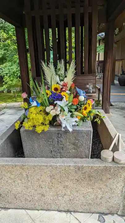 勝林寺(京都府)