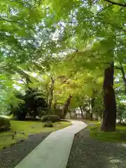 正樂寺の庭園