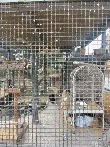 神明宮のその他建物