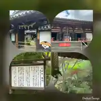 久安寺(大阪府)