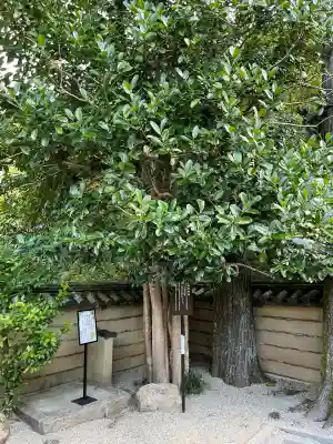 法起院(奈良県)