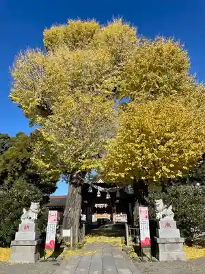 亀ケ池八幡宮(神奈川県)