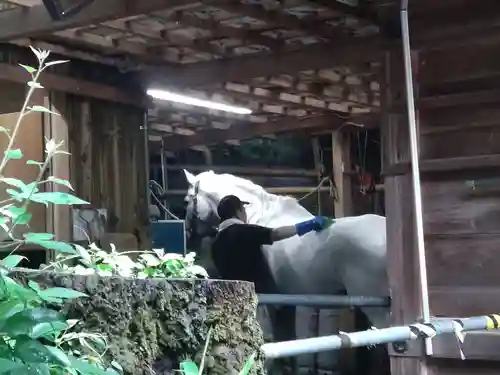 多度大社(三重県)