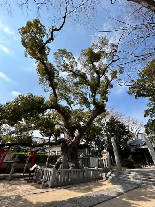 老松神社(山口県)
