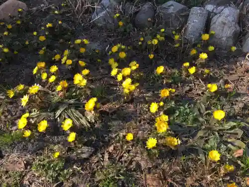 金比羅神社の自然