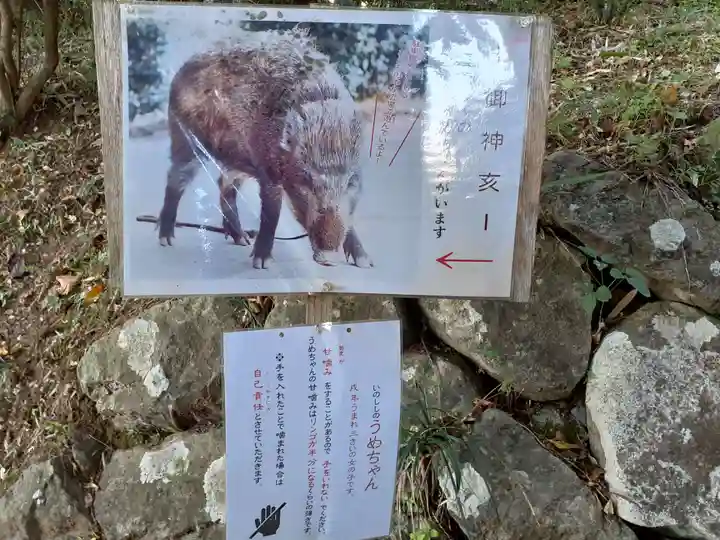 坪沼八幡神社のその他建物