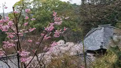 十輪寺(京都府)