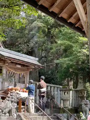 天鷹神社(岐阜県)