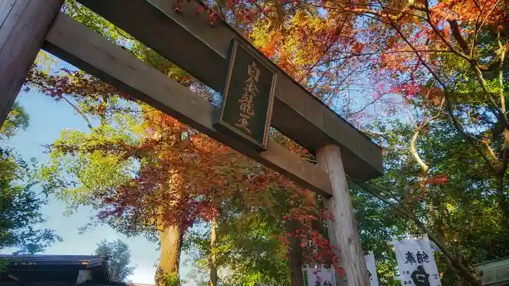 若宮神明社の鳥居