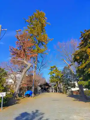 津島社（五軒屋）のその他建物