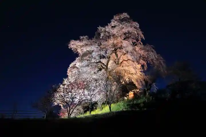 天神さまの祠の自然