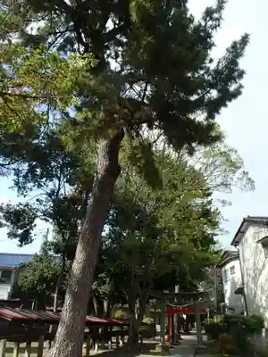 登戸稲荷神社のその他建物