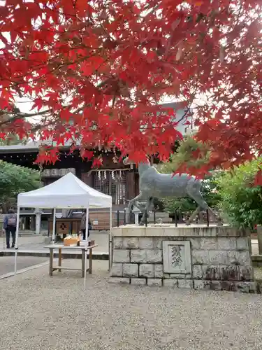 京都乃木神社の狛犬