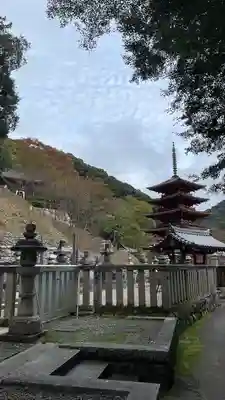 長谷寺(奈良県)