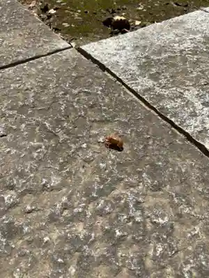 深谷山　瑠璃光寺(埼玉県)