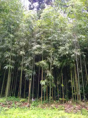 浄智寺(神奈川県)
