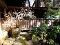 五所駒瀧神社の自然