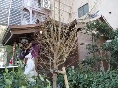 茶ノ木神社の本殿・本堂