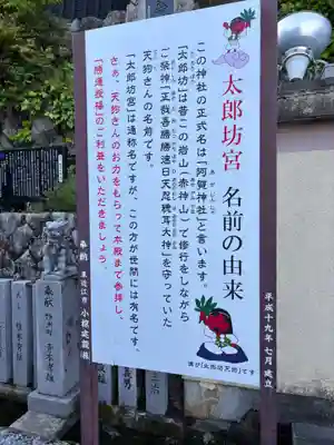 太郎坊大権現社(滋賀県)