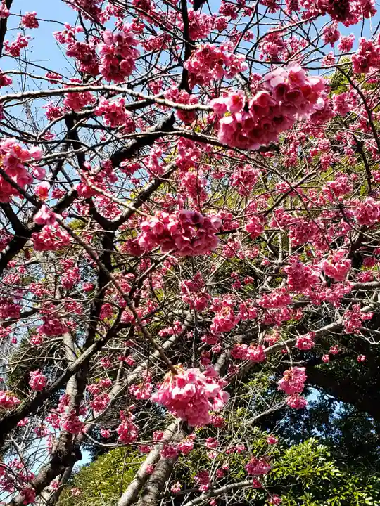 靖國神社(東京都)
