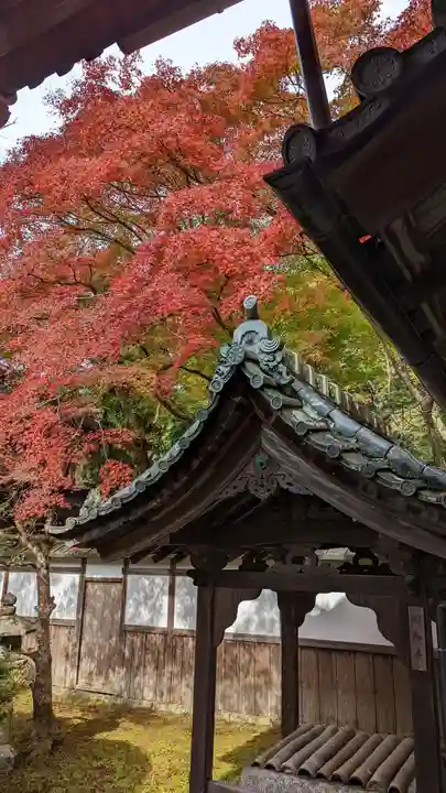 毘沙門堂門跡(京都府)