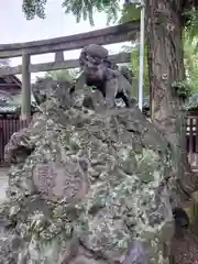 牛嶋神社の狛犬