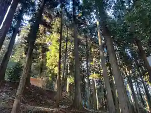 大宮温泉神社(栃木県)(2024年01月09日(火) 06時45分55秒投稿)