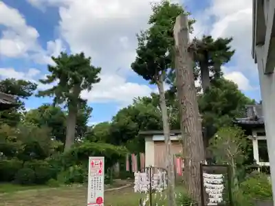春日神社のその他建物