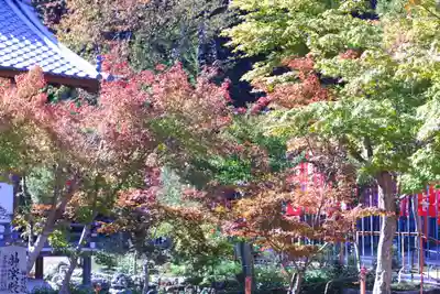 龍田大社の自然