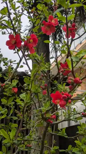 興聖寺(京都府)