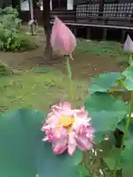 金乘院(千葉県)