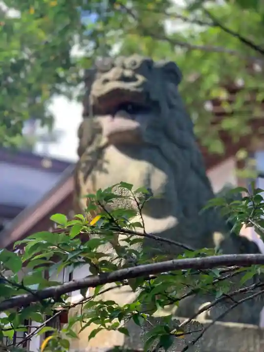 鶴峯八幡宮の狛犬