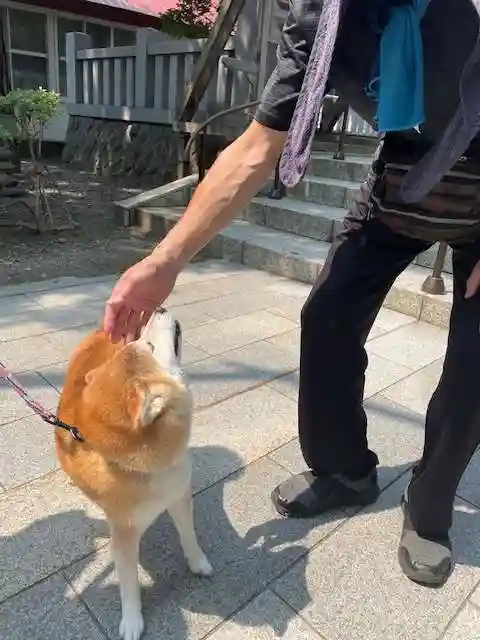 彌彦神社 (伊夜日子神社)の動物
